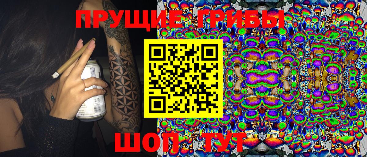 купить  сайты  Галлюциногенные грибы Psilocybe  Галлюциногенные грибы мицелий  Вход с VPN  Электрогорск 